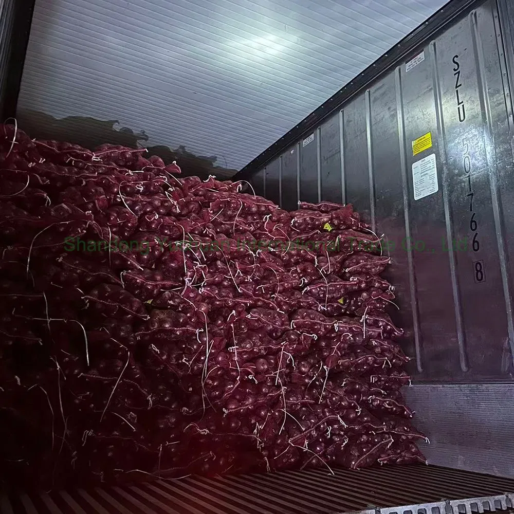 Best Selling Red Onions Fresh Vegetables and Packaged for Export Natural Fresh Red Onions Wholesale