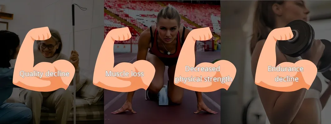 Creatine Monohydrate Description