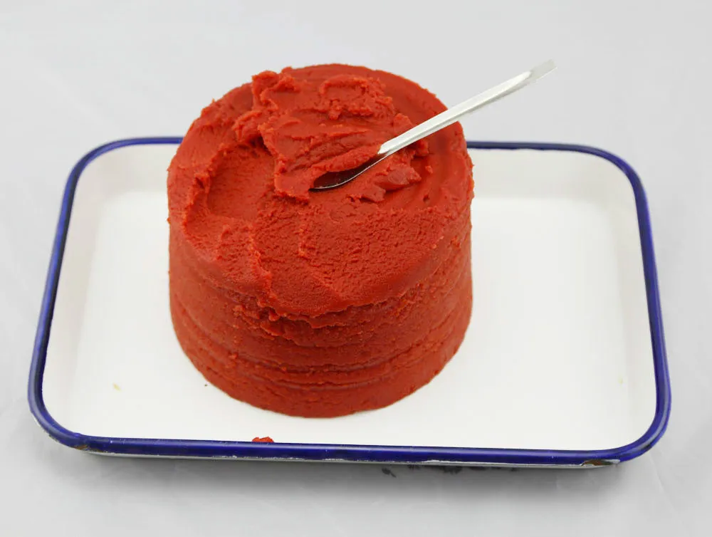 Bulk Shipping Container