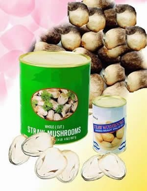 Canned Straw Mushroom Unpeeled in Half