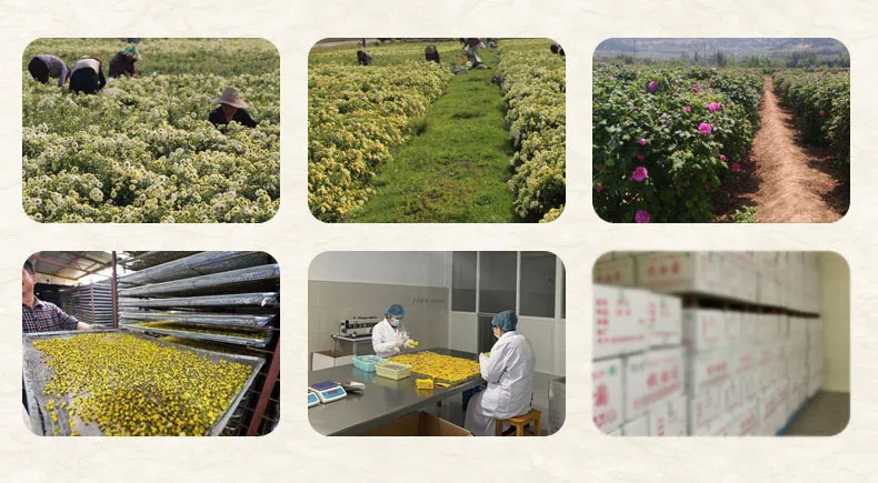 Certification and Quality