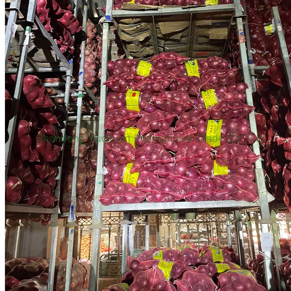 Best Selling Red Onions Fresh Vegetables and Packaged for Export Natural Fresh Red Onions Wholesale