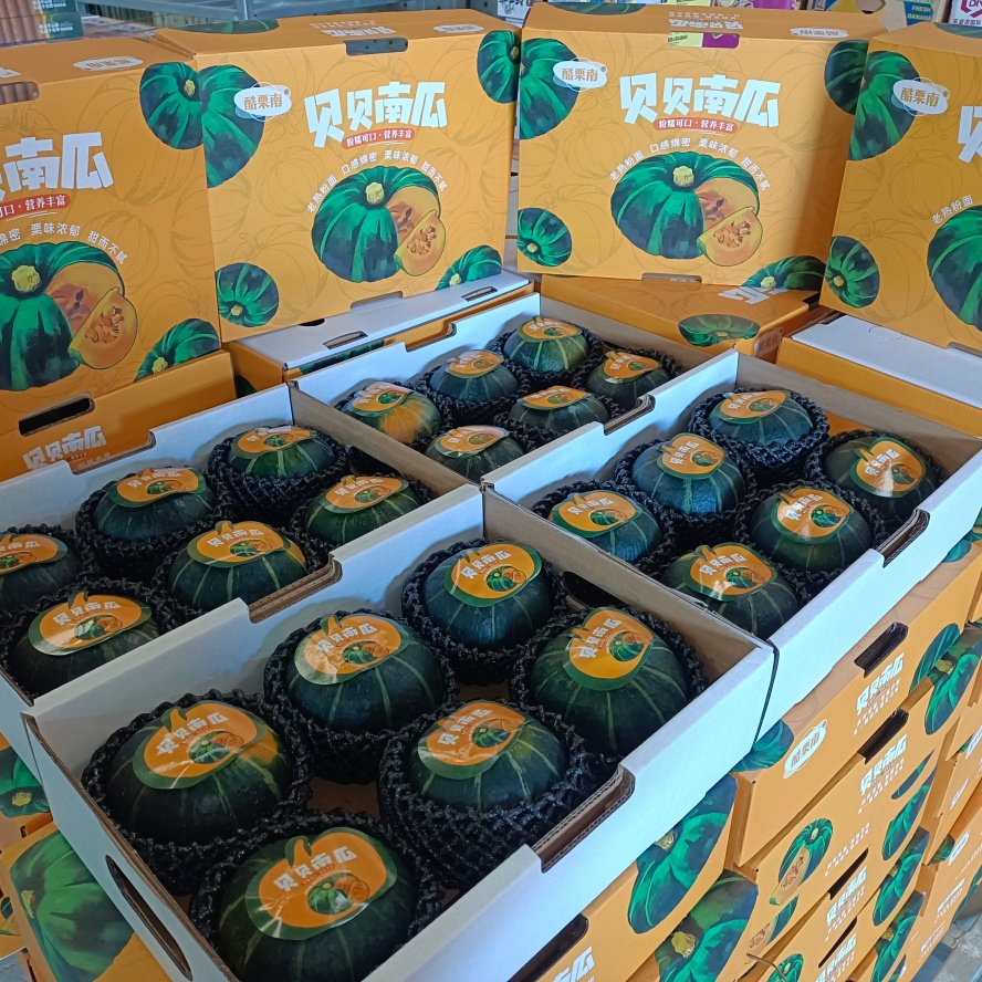 The New Low Gi Freshly Picked Baby Pumpkin for Animal Nutrition