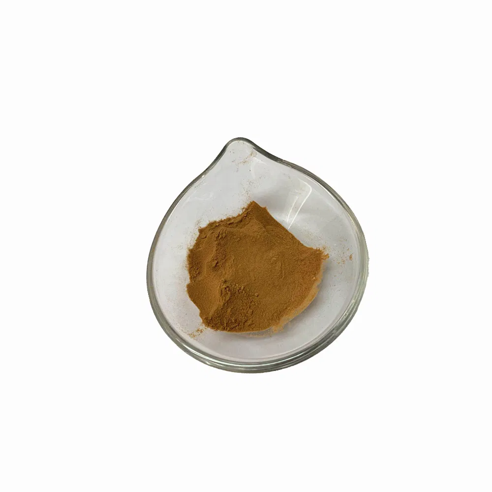 Soy Sauce Powder Vinegar Powder Condiments for Snack Flavor Hot Spice