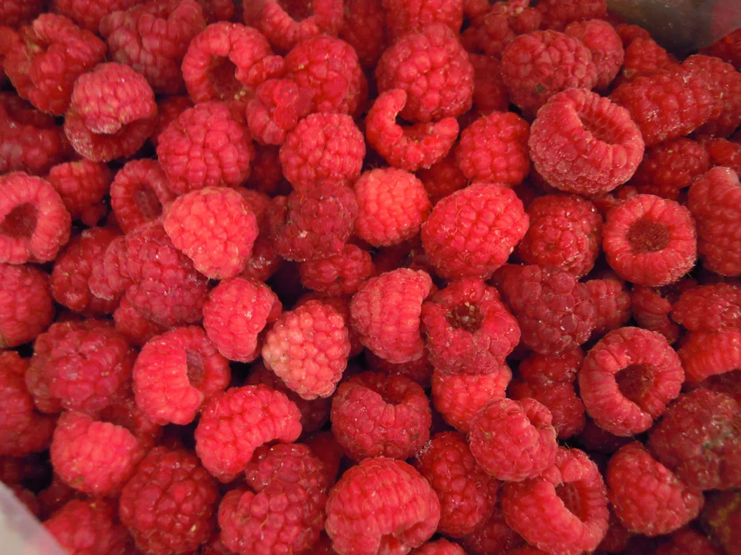 Frozen Raspberry Photo 4