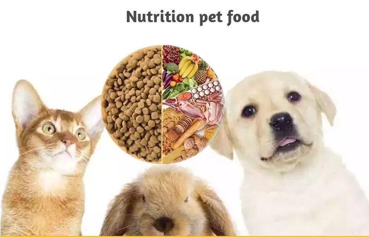Pet Food Display 2