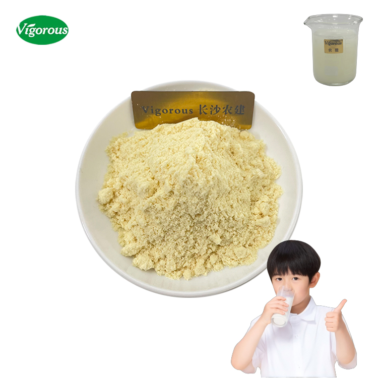Instant Soy Milk Powder Glycine Max Plant Based Protein Rich Dairy Alternative for Beverages