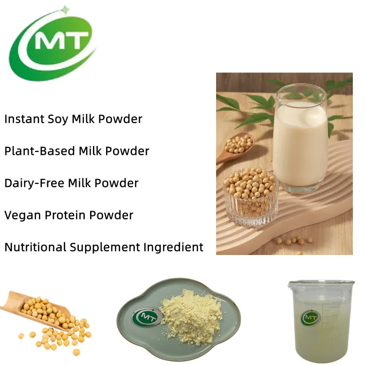 Soy Milk Powder Application