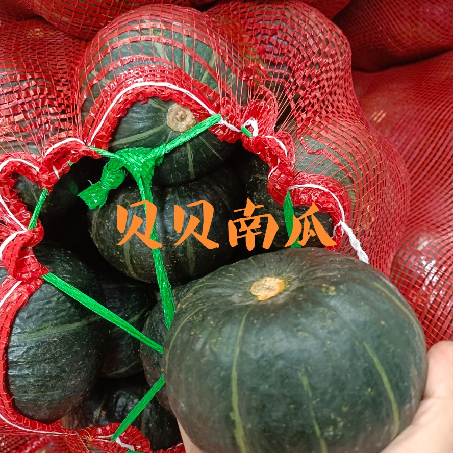 Own Brand Flat and Round Plump and Full Premium Baby Pumpkin for Sports Nutrition