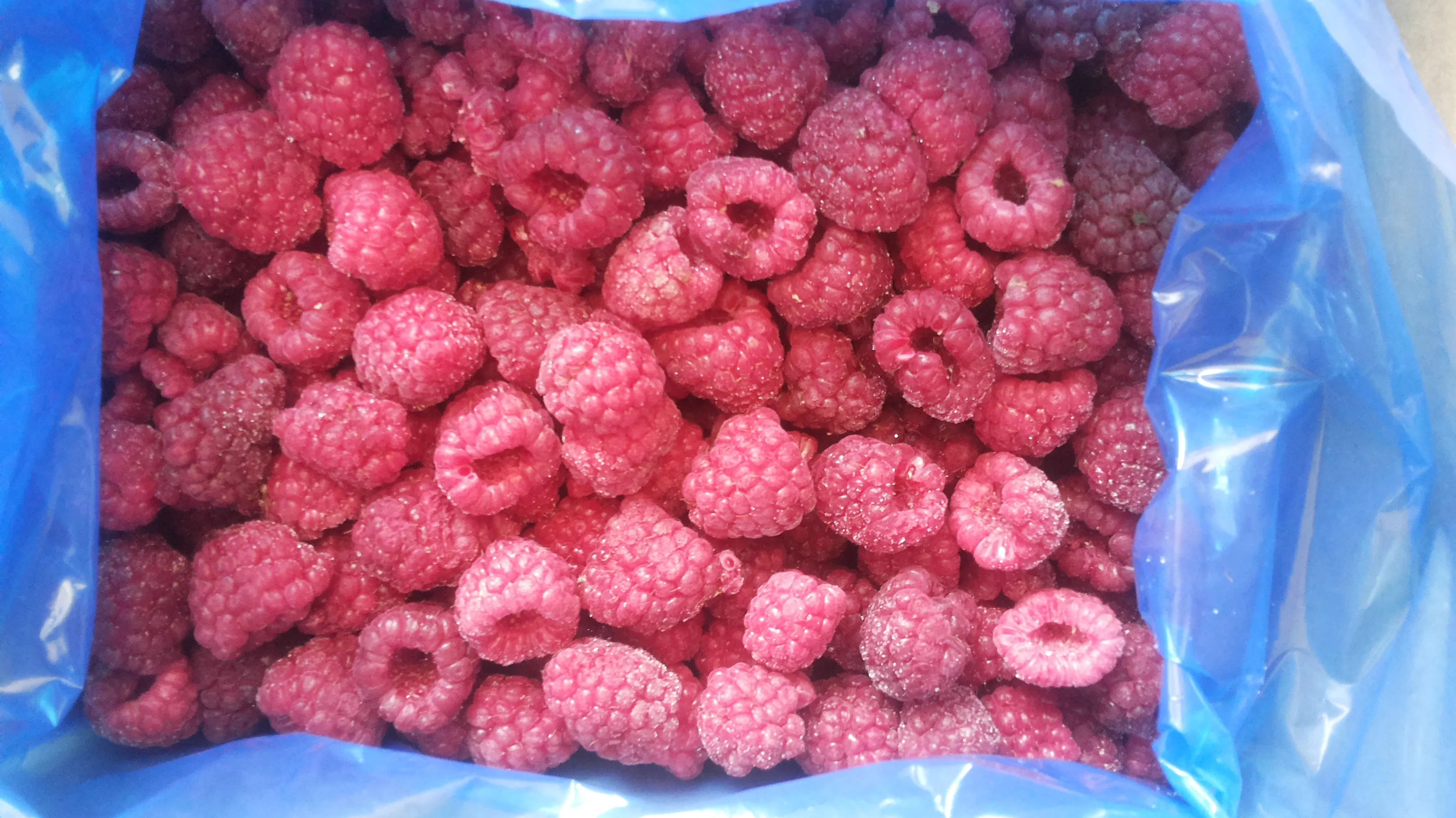 Organic Frozen Raspberry - HACCP Certified Packaged in Plastic