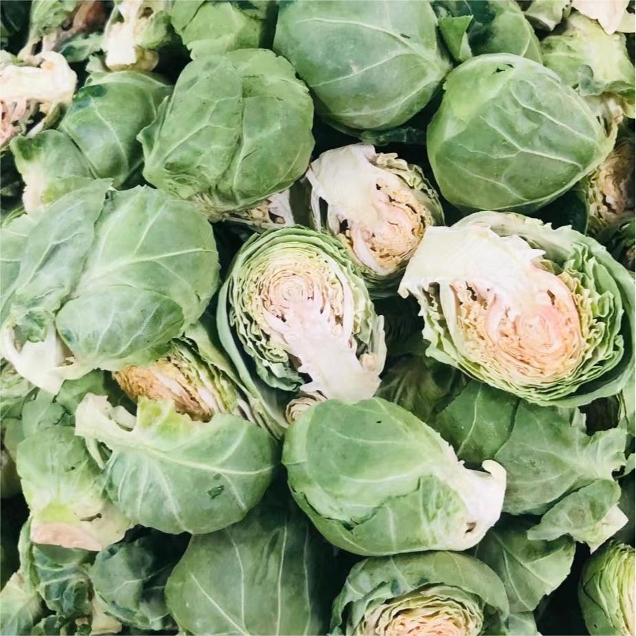 Various Vitamins Nutrition High Good Protein Freeze-Dried Vegetables Seafood Pet Supply Food Cat Treat Dog Snack Product