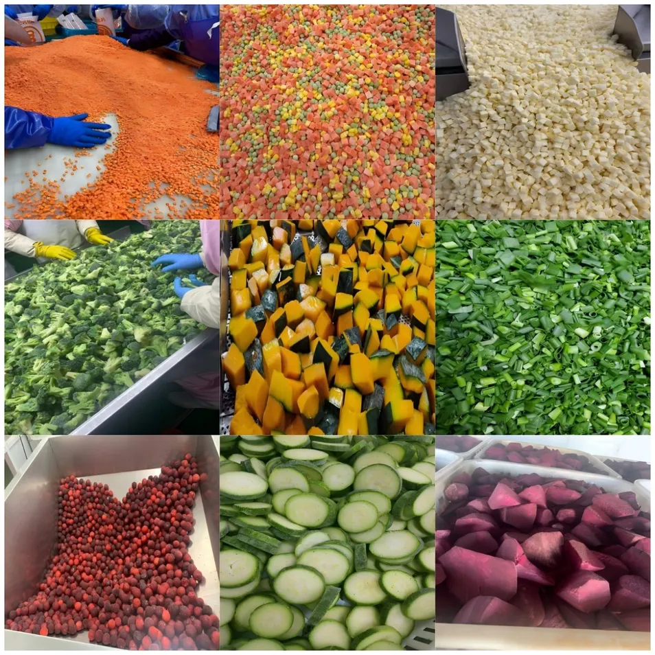 IQF Frozen Carrot Details