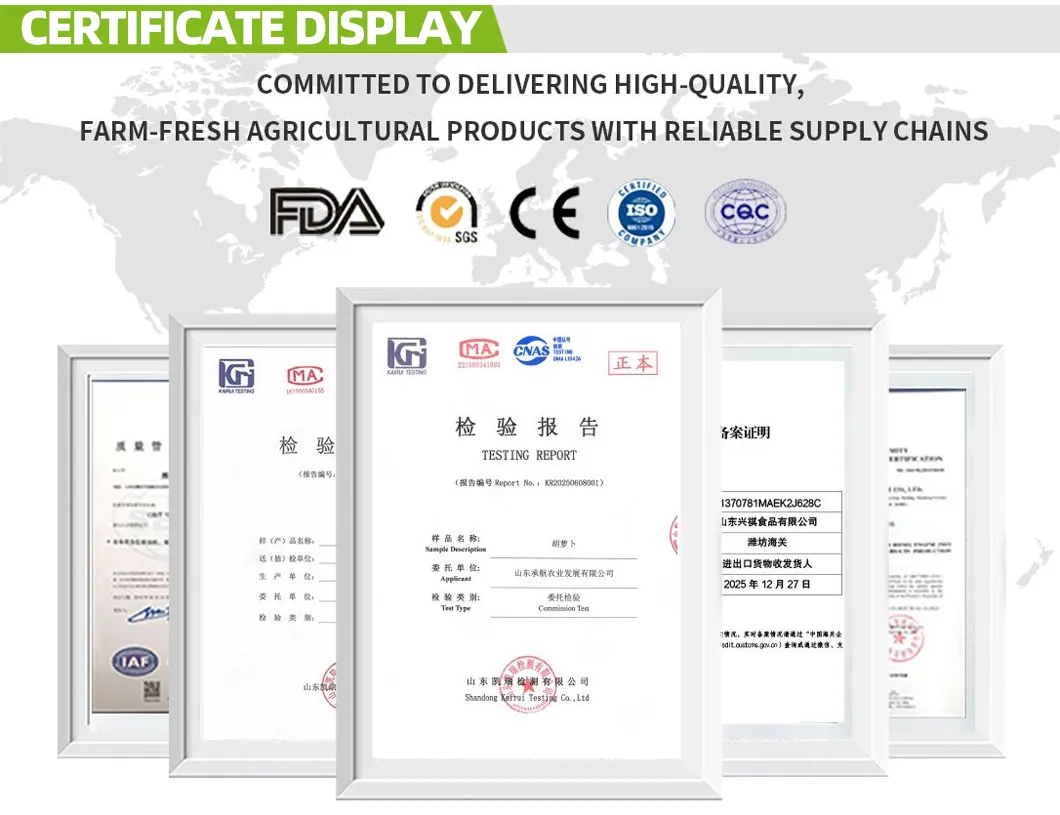 Process Certification