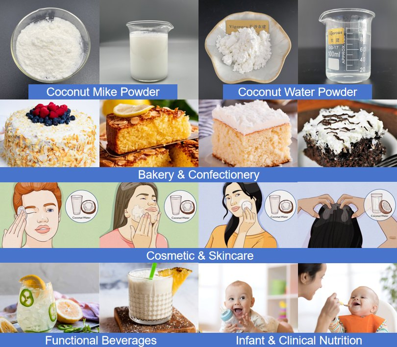 Wholesale Free Sample Cocos Nucifera Extract Coconut Fruit Milk Powder for Commercial Buyers