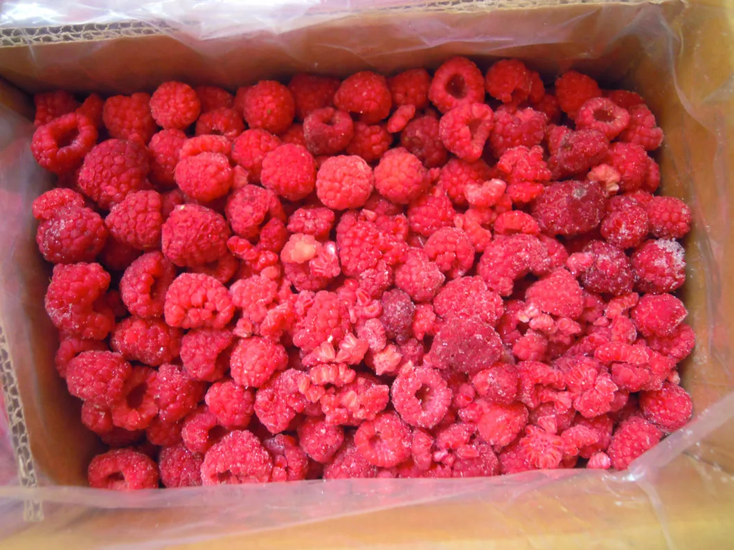 Frozen Raspberry Photo 5