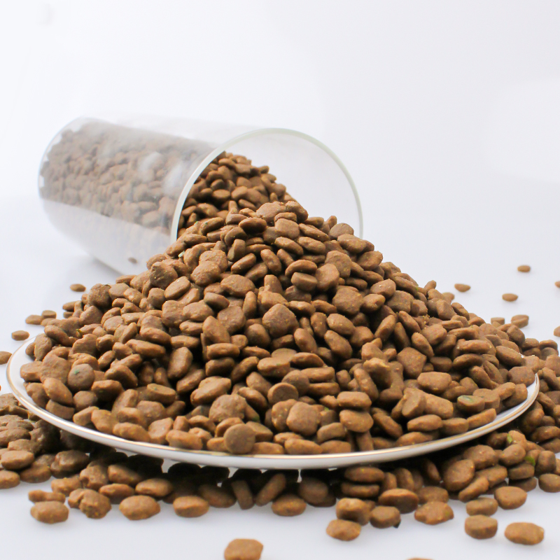 Premium Bulk Cat Food for Healthy Weight Management