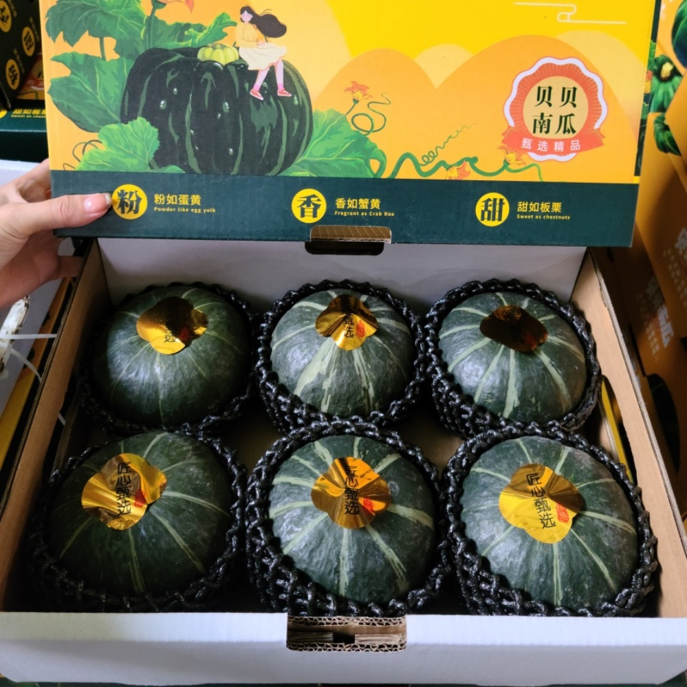 Ready-to-Use Authentic Chestnut Baby Pumpkin for Sports Nutrition