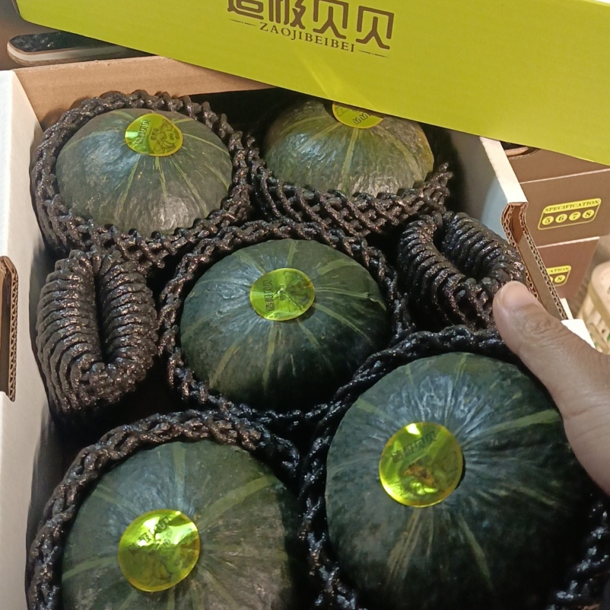 Factory Best Small and Exquisite Baby Pumpkin for Clinical Nutrition