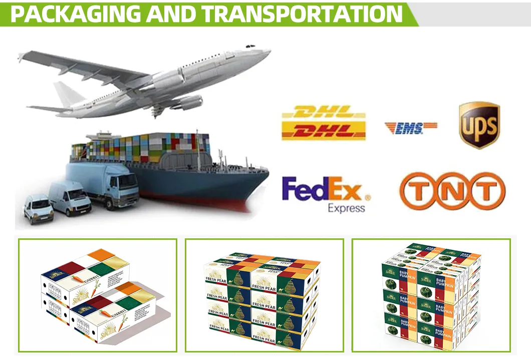 Packaging & Shipping