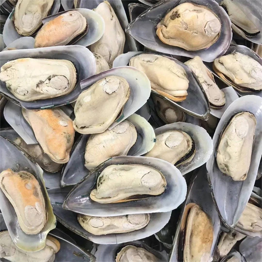 Various Vitamins Nutrition High Good Protein Freeze-Dried Vegetables Seafood Pet Supply Food Cat Treat Dog Snack Product