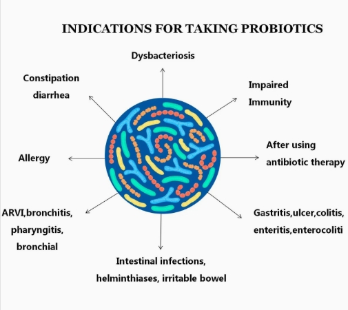 Health Food Pediococcus Acidilactici with 200 Billion Cfu/G for Fermented Foods
