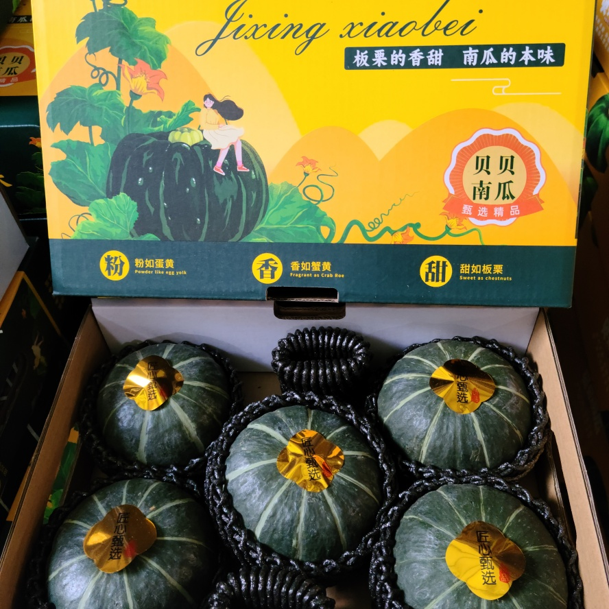Wholesale of New Products Dark Green with Stripes Baby Pumpkin for Infant Nutrition