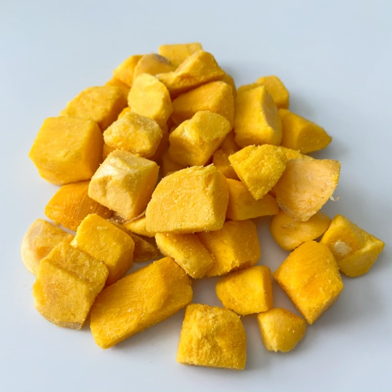 High-Protein Freeze-Dried Egg Yolk Pet Food Dog Cat Snacks Treats Natural Healthy