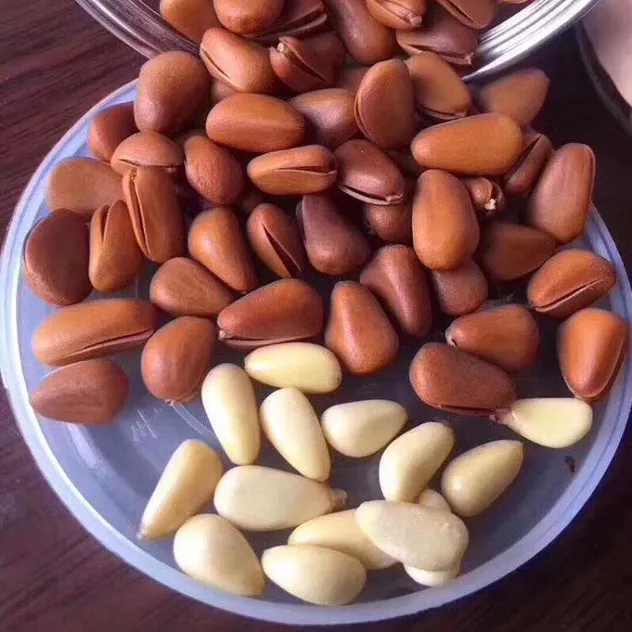 Northeast China Pine Nuts