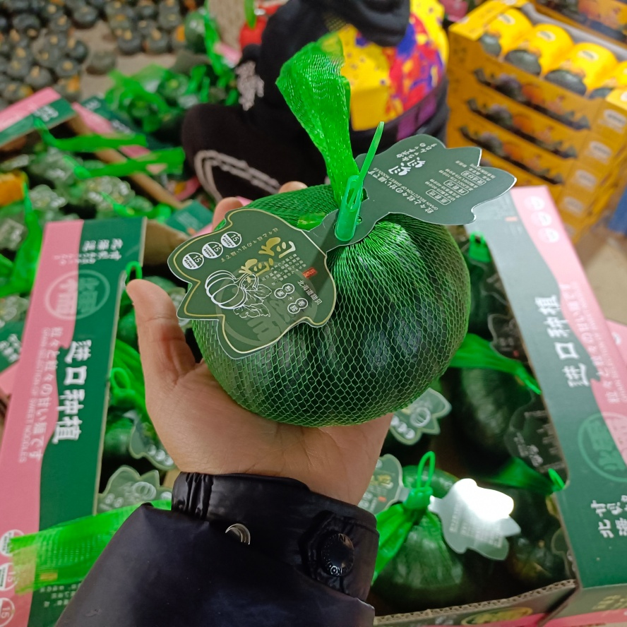 Freshly Picked Chunky Authentic Baby Pumpkin for Infant Nutrition