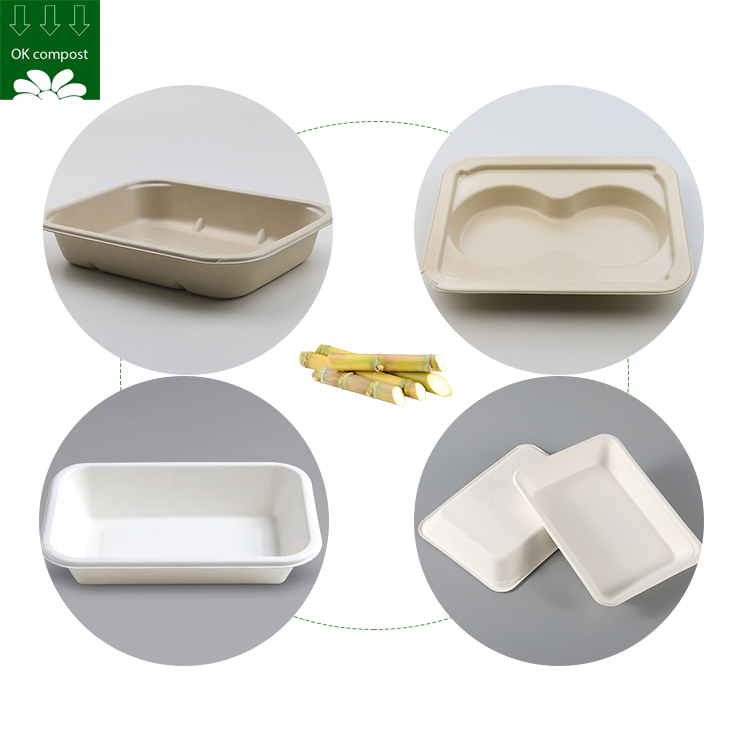 OEM Service Custom Bagasse Sugarcane Tray with PLA Pet Cpet Film Lined Laminated for Frozen Food Ready Meal Bagasse Tableware