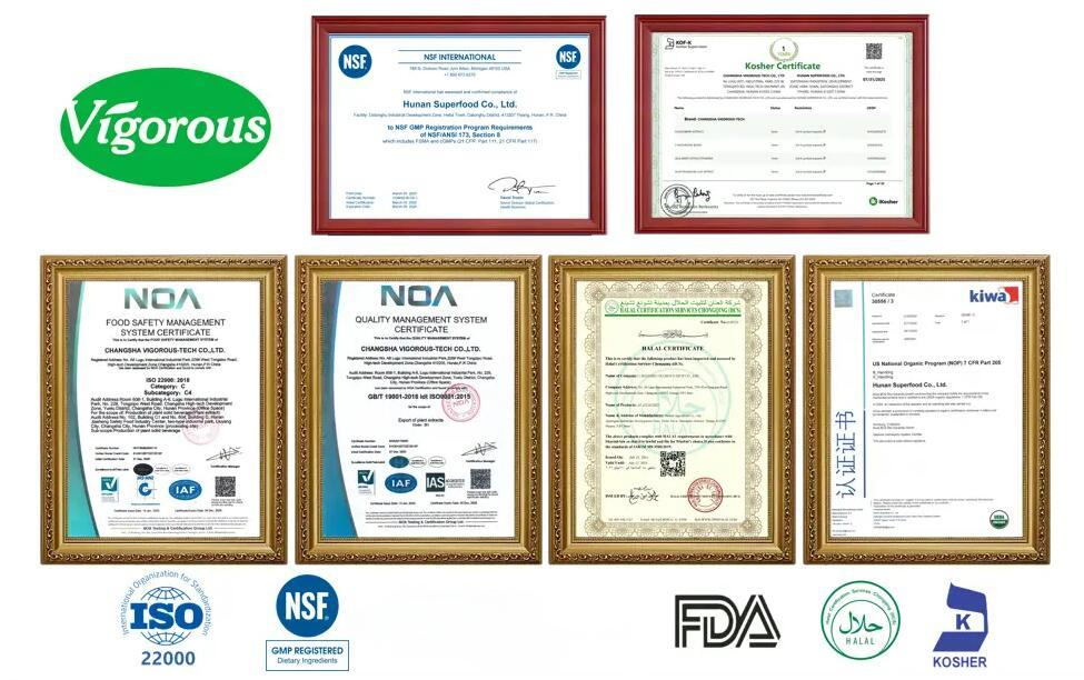 Instant Soy Milk Powder Glycine Max Plant Based Protein Rich Dairy Alternative for Beverages