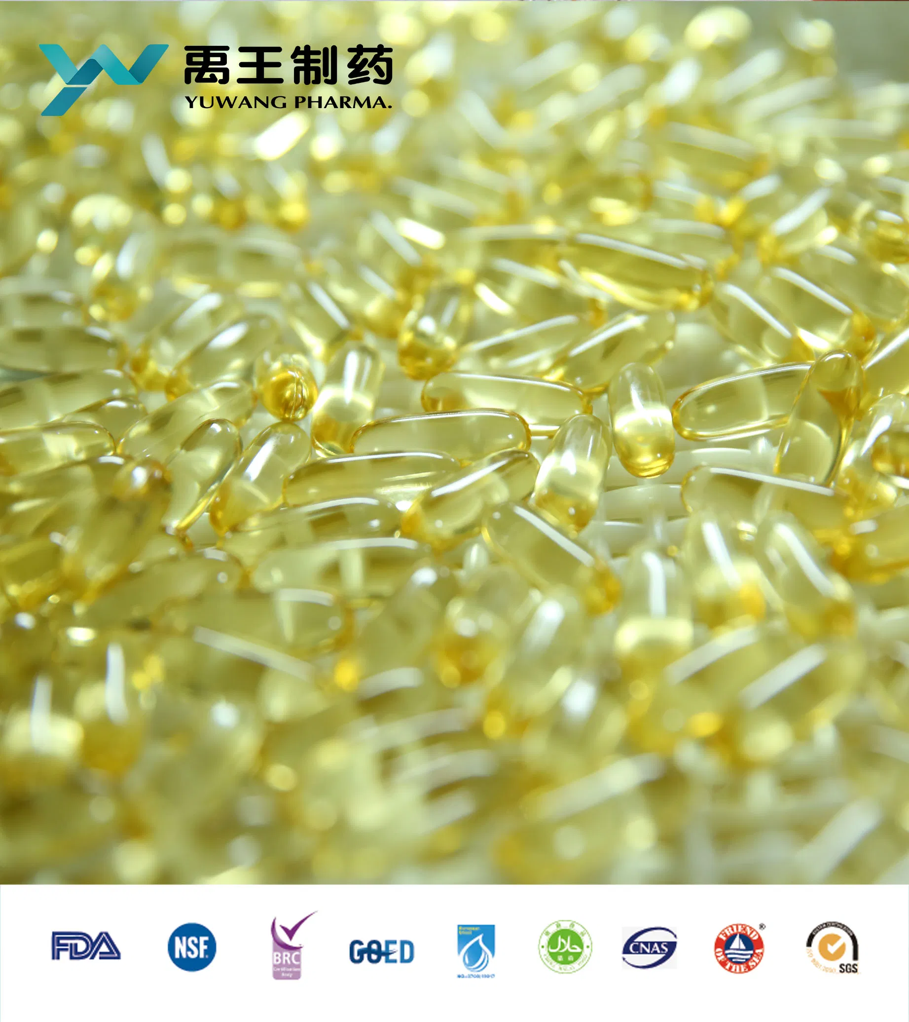 OEM Lose Weight Fish Oil Softgel Nutritional Supplement Healthcare Food with Low Price But High Quality