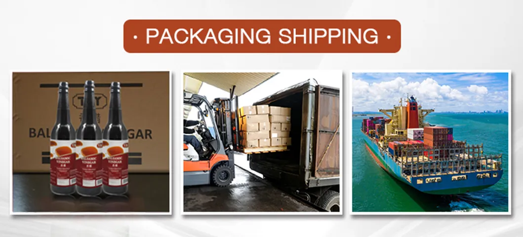 Shipping Logistics
