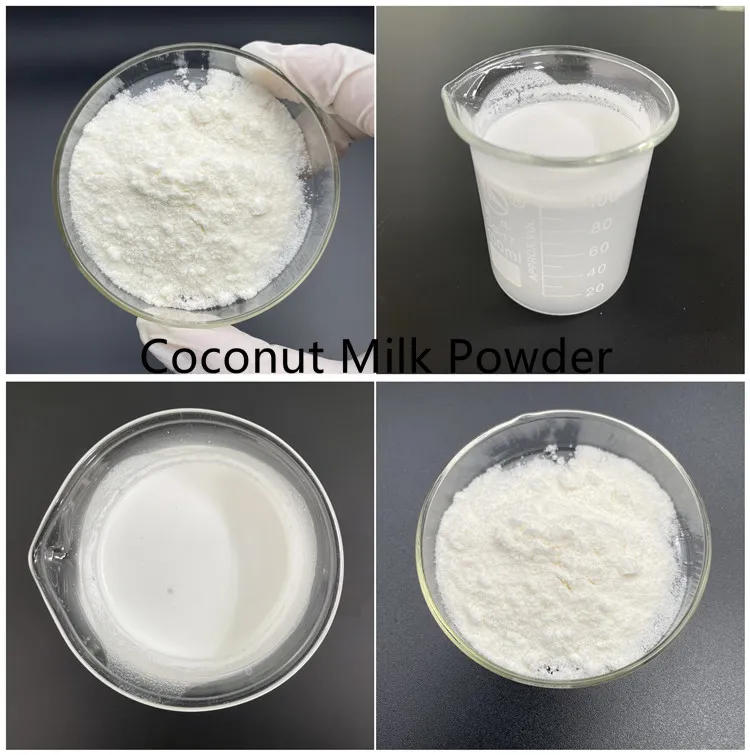 Organic Coconut Milk Powder