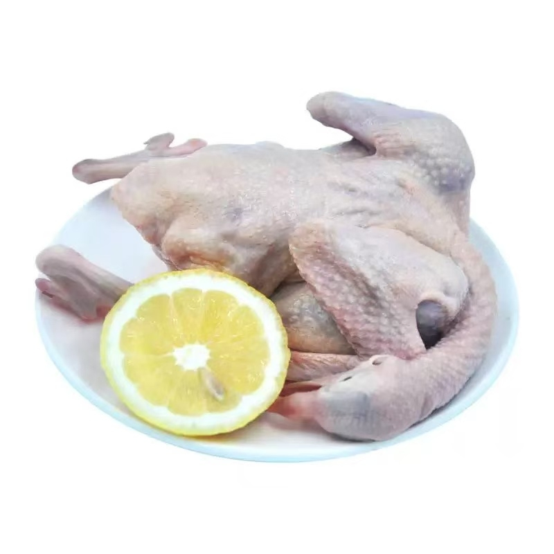 Freshly Packaged Bulk Frozen Whole Duck for Traditional
