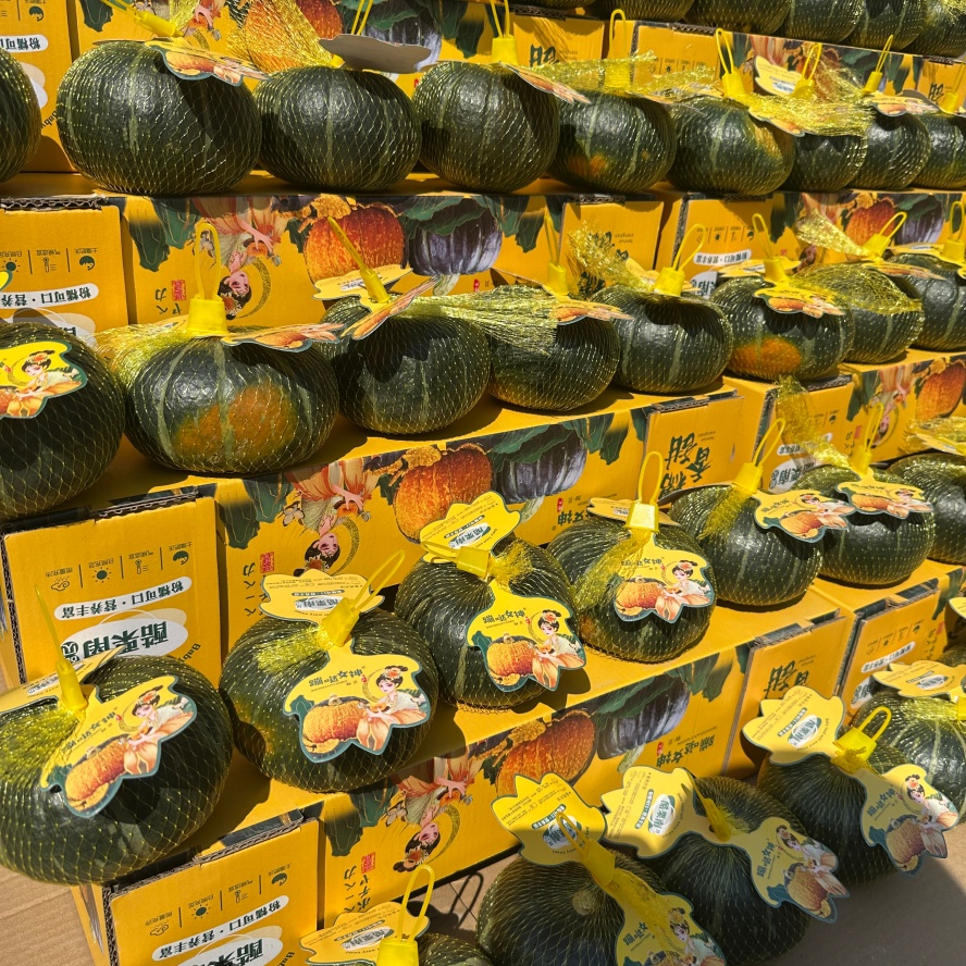 Professional Manufacturer Creamy Pumpkin for Sports Nutrition