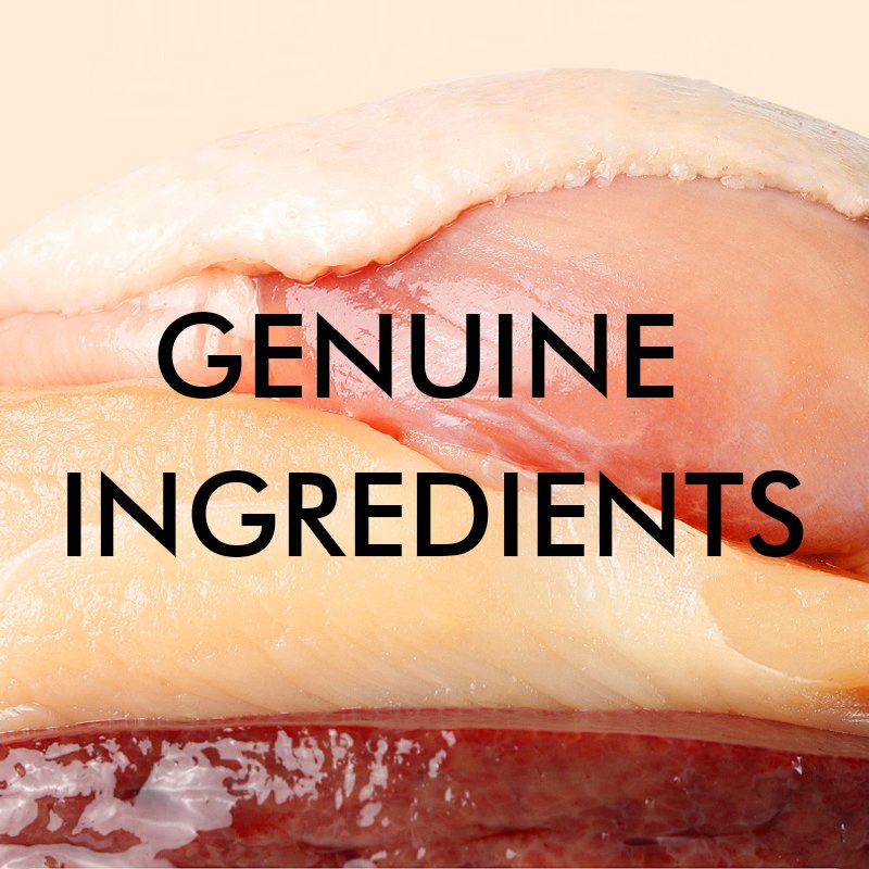 OEM ODM Meat-Based Wet Cat Treats OEM &amp; ODM Canned Cat Food with High Quality and Low Price