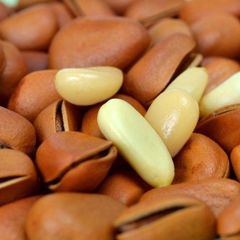 Organic Pine Nuts From Northeast China Bulk Packaged Roasted Dried Nut Food