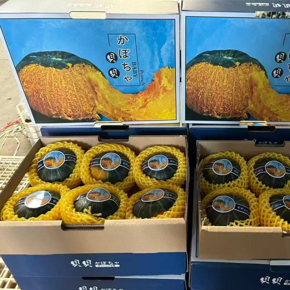 Custom Private Label Minimally-Processed Premium Baby Pumpkin for Infant Nutrition