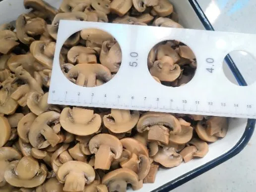 Canned Mushrooms Sliced