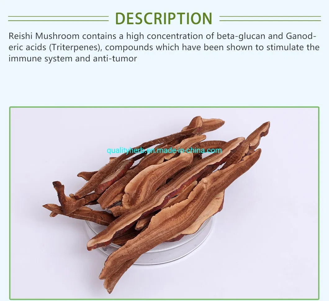 Dried Mushroom Reishi Slice Lingzhi