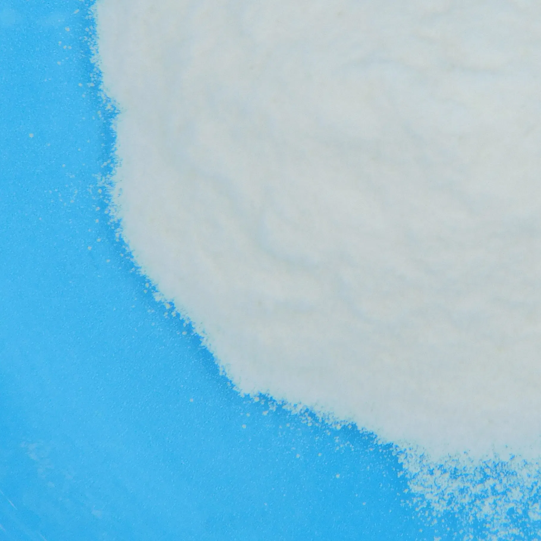 Health Food Mindful Digestive Aid Plant-Based Probiotic Blend