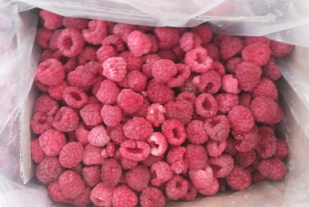Frozen Raspberry Photo 3