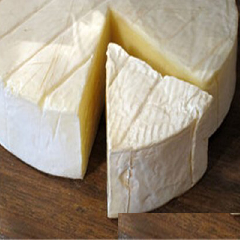 New Zealand Casein / Caseinate High Protein Powder for Food and Sports Nutrition