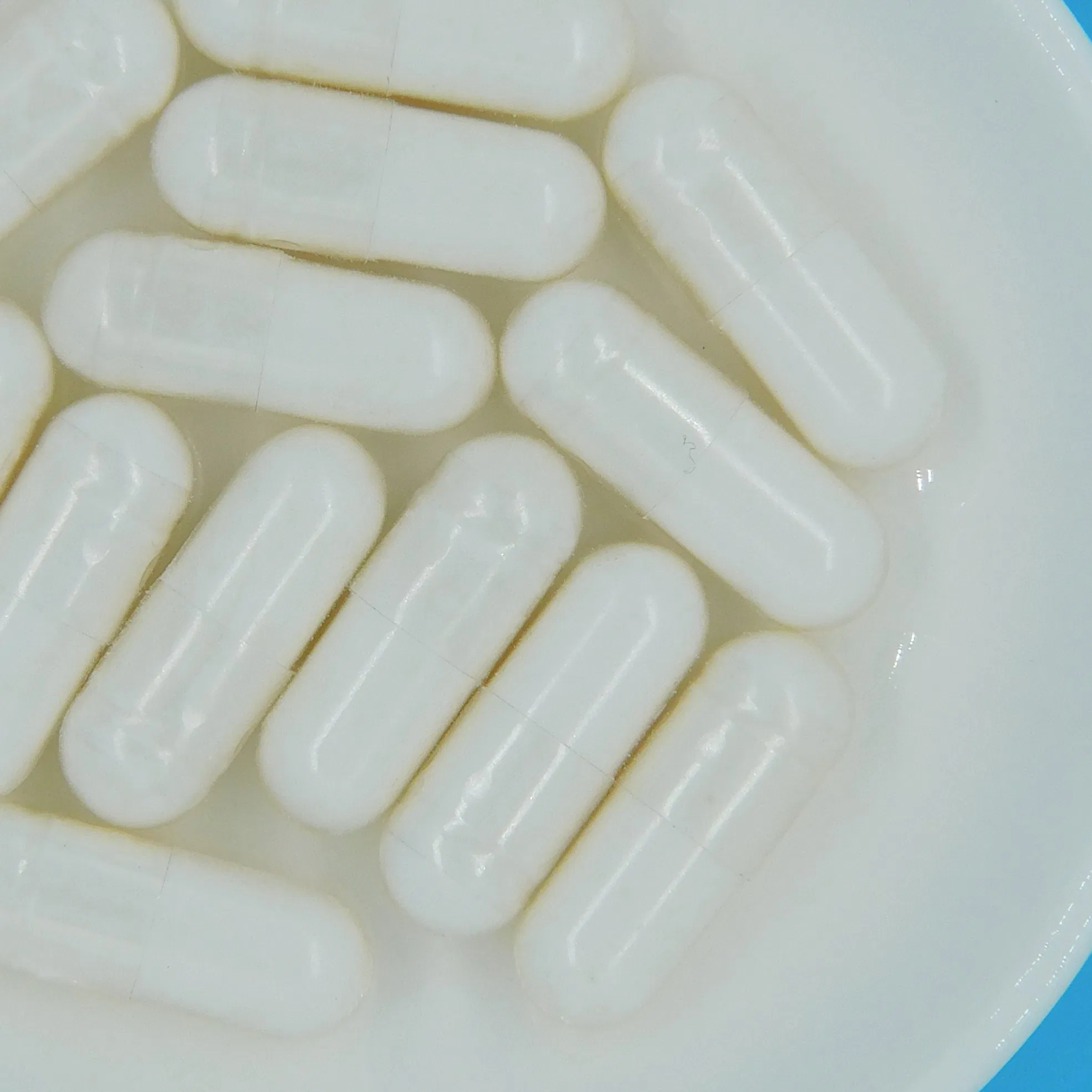 Health Food Mindful Digestive Aid Plant-Based Probiotic Blend