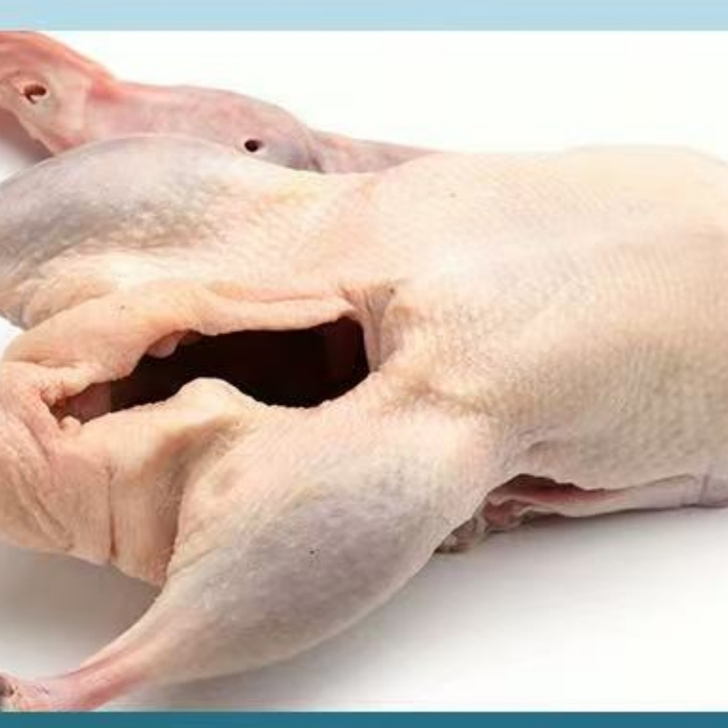 Freshly Packaged Bulk Frozen Whole Duck for Traditional