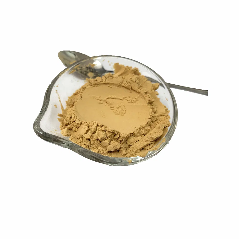 Concentrated Soy Sauce Powder Soy Sauce Paste for The Condiments Ingredients