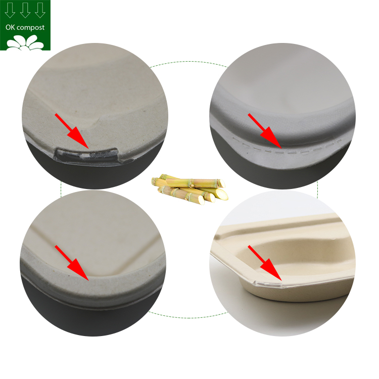 OEM Service Custom Bagasse Sugarcane Tray with PLA Pet Cpet Film Lined Laminated for Frozen Food Ready Meal Bagasse Tableware