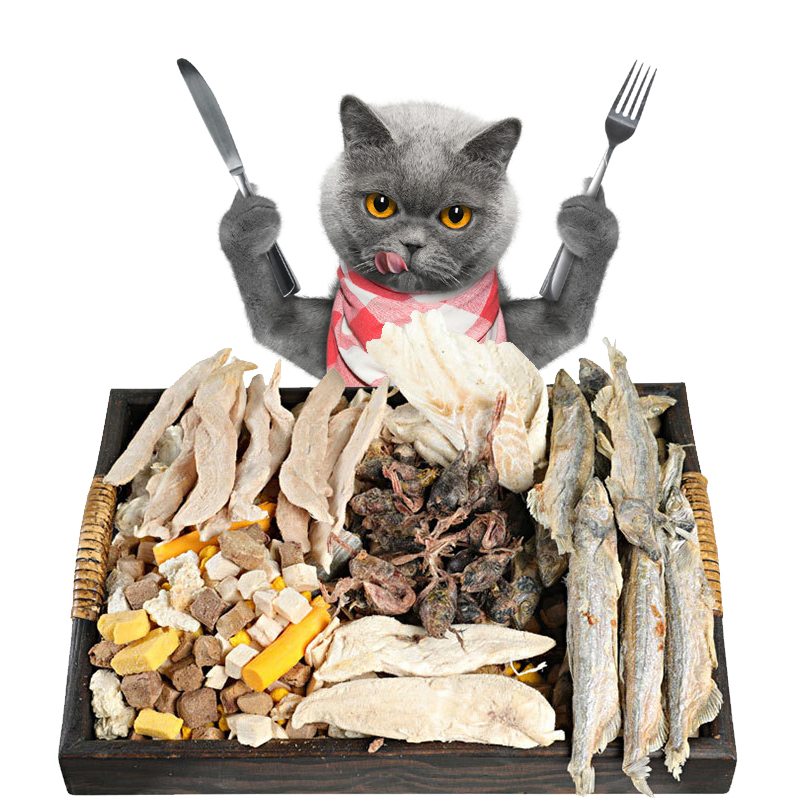 Highly Palatable Gluten-Free Freeze Dried Food with Quick Delivery