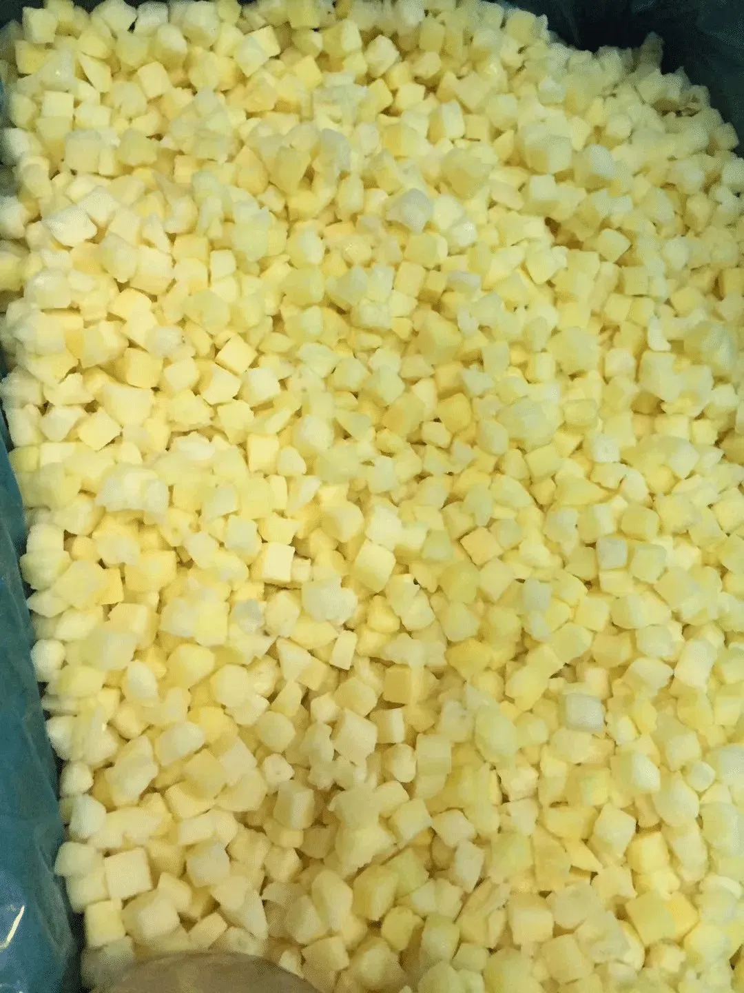 Fresh Frozen Vegetable Food Packaged in Plastic for Year-Round Supply Frozen Potato Cube IQF Vegetables